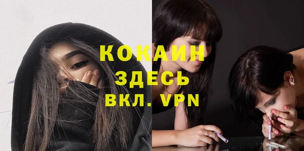 молекула духа Алексин