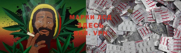 эйфоретик Алзамай