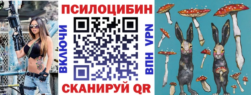 Псилоцибиновые грибы мухоморы купить закладку Дедовск